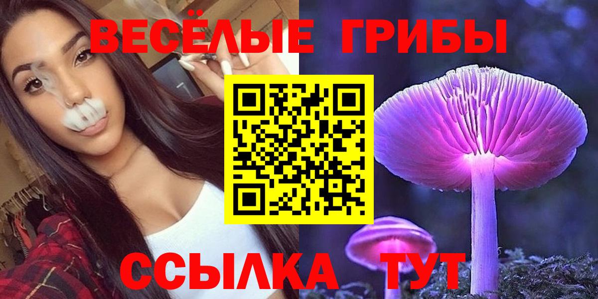 Псилоцибиновые грибы прущие грибы Великий Устюг